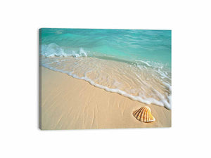SHell Canvas Print