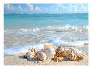 SHell
