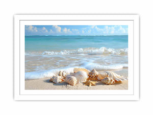 SHell Streched canvas