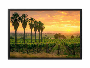 Adeliade Vineyards Painting