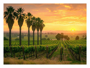 Adeliade Vineyards