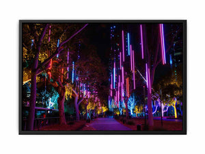 Lights Painting