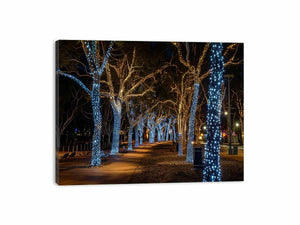 Lights Canvas Print