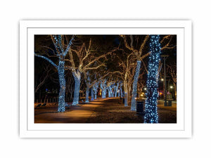 Lights Streched canvas