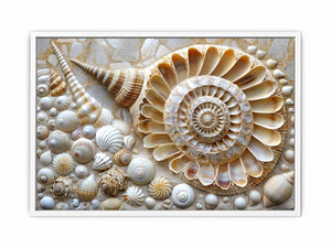 SHell Framed Print
