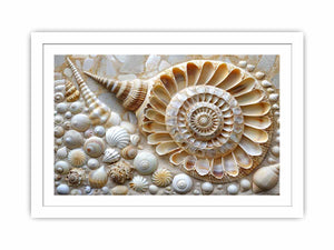 SHell Streched canvas