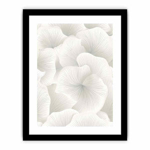 Flower Petals Art Print