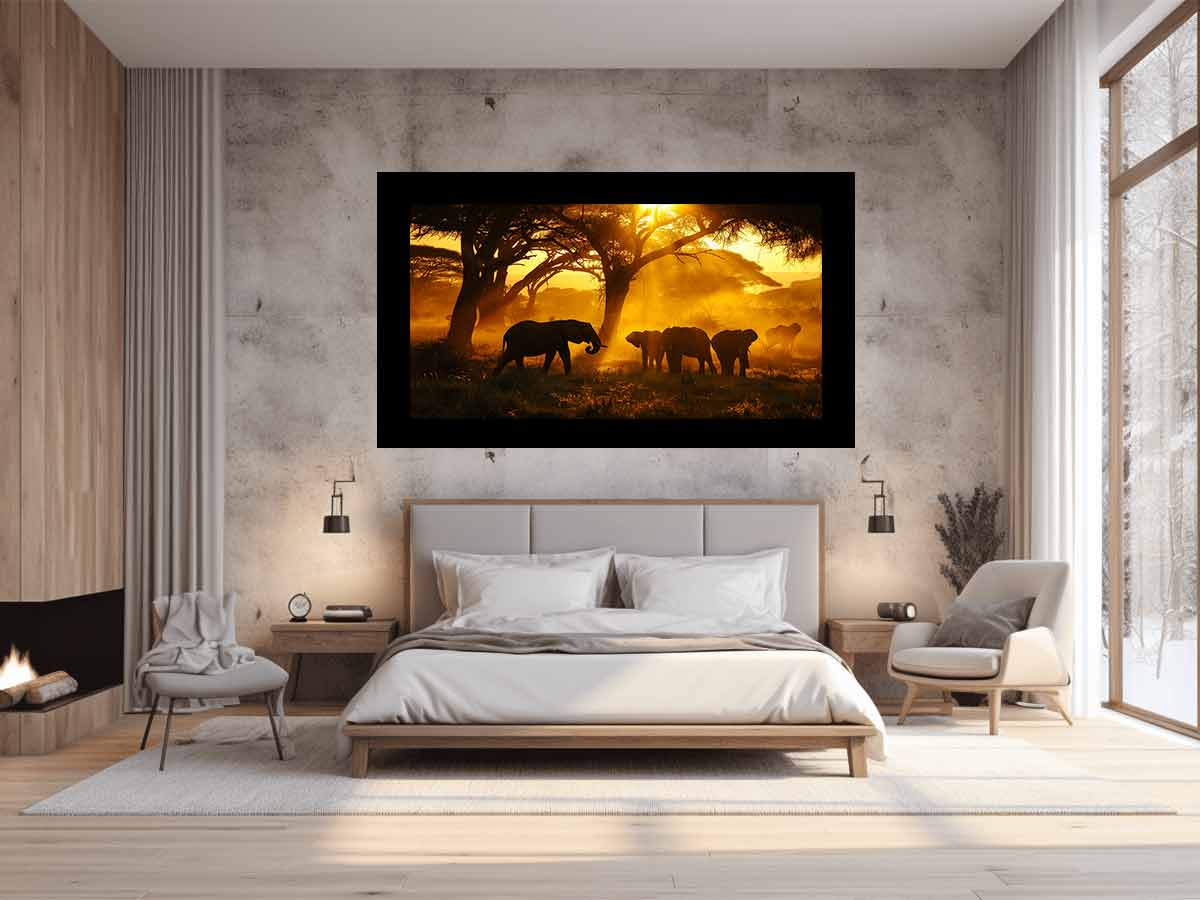 Jungle Safari