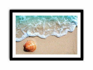 SHell Art Print