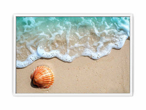 SHell Framed Print
