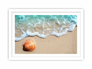 SHell Streched canvas