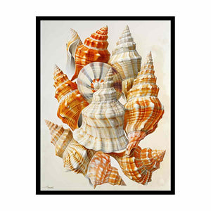 SHell Painting