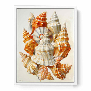SHell Framed Print