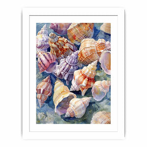 SHell Streched canvas