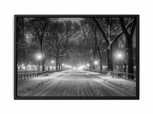 Central Park Painting