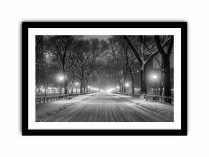 Central Park Art Print