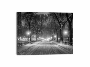 Central Park Canvas Print