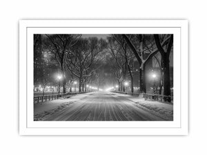 Central Park Streched canvas