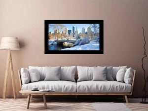 Central Park in Winter