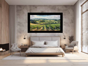 South Australia Vineyard