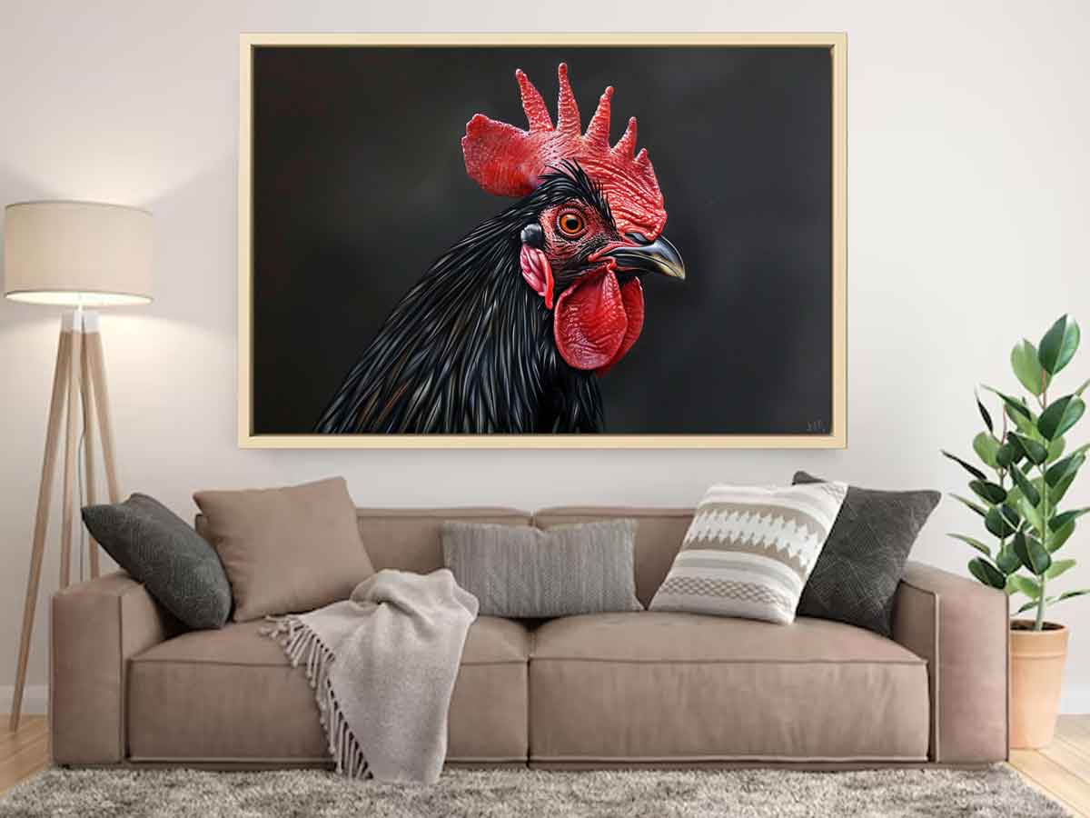 Black Cock