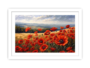 Poppy Field Streched canvas