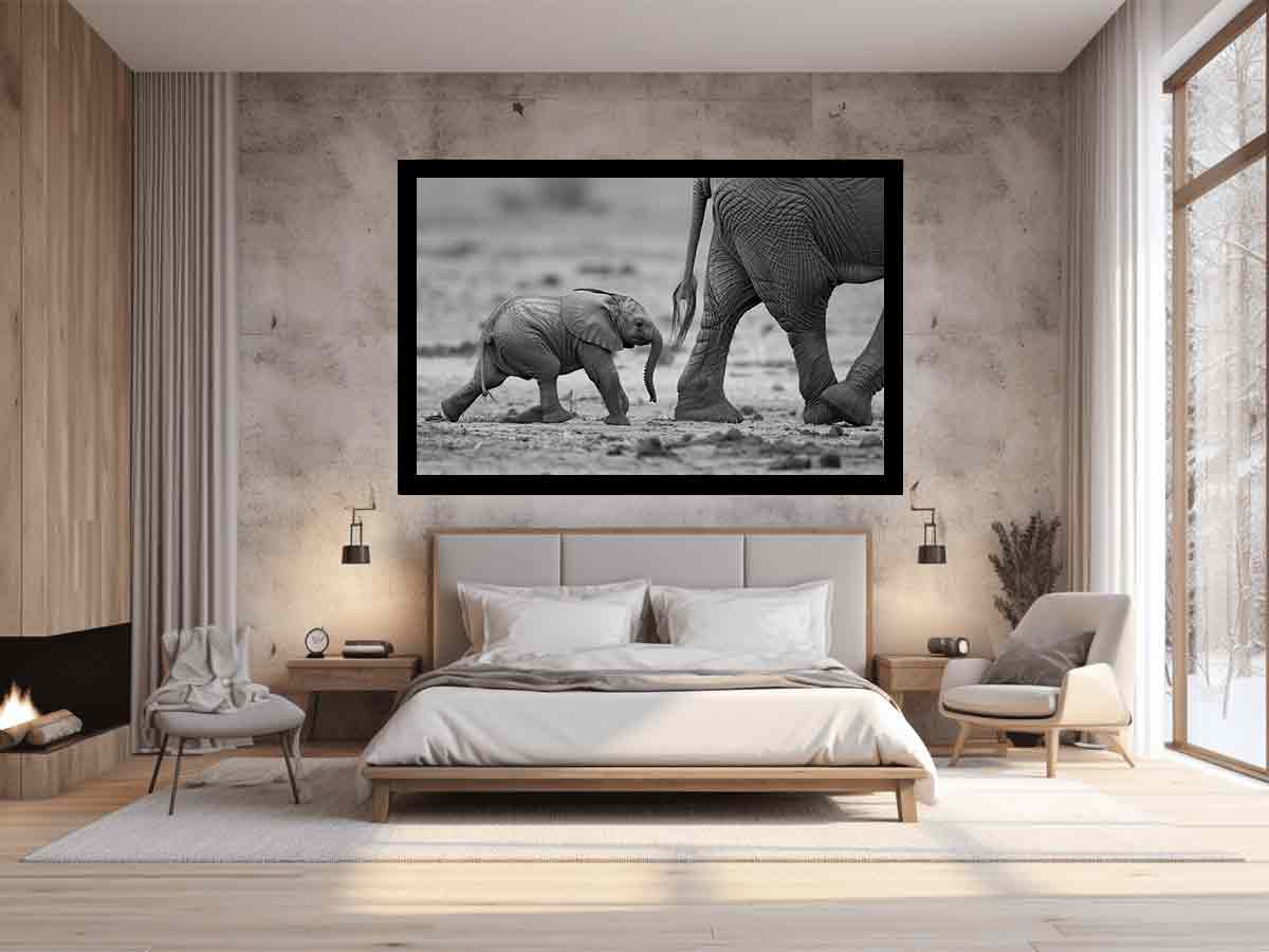 Baby Elephant