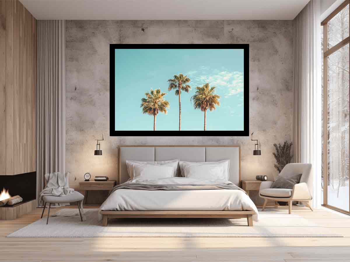 3 Palms