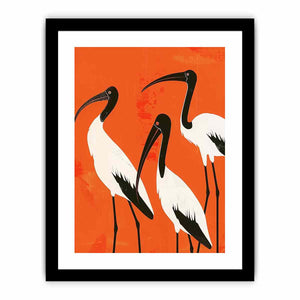 3 Ibis Art Print