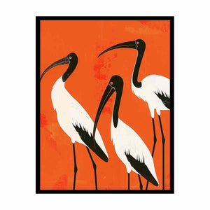 3 Ibis Painting