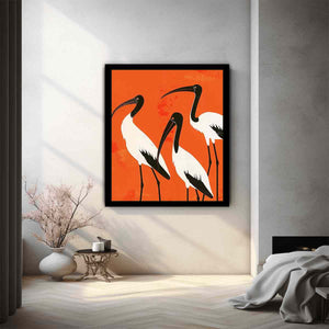 3 Ibis