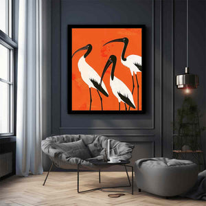 3 Ibis