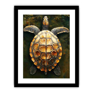 Framed Print