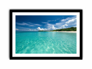 Framed Print