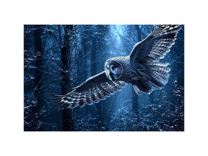 misty owl canvas art bedroom