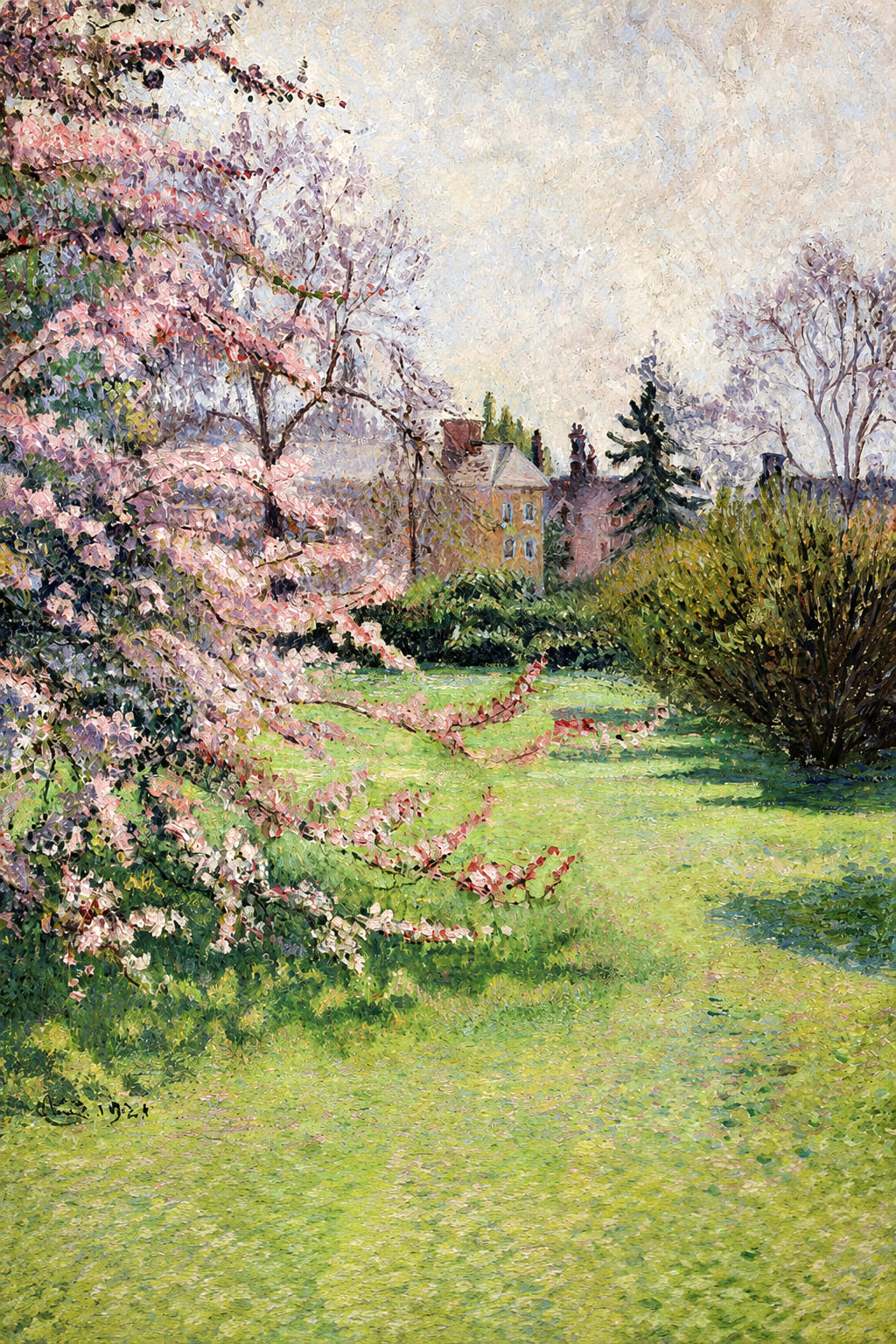 Japanese Crab Apple Blossom, Kew, 1921