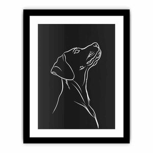 Framed Print