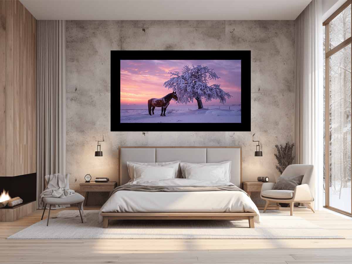 Winter Horse Valley