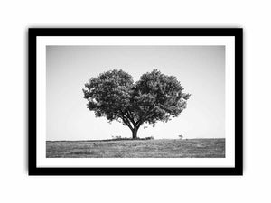 Framed Print