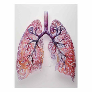 Air Filtration