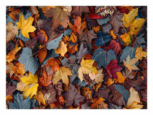 Golden Autumn Canopy
