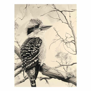 Australian Kookaburra Perch