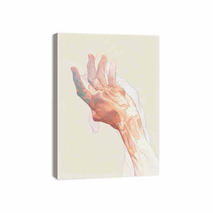 Streched canvas