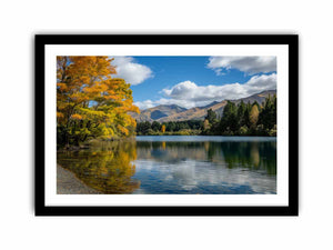 Framed Print