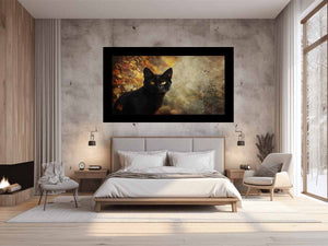 Cat of the Midnight Veil