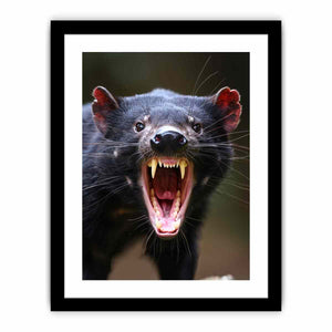 Framed Print