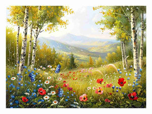 Beauitful Landscape