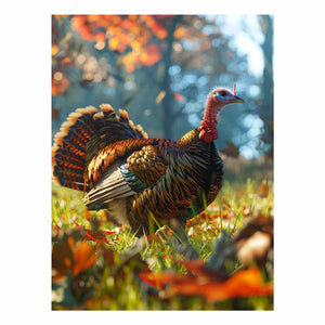 Turkey