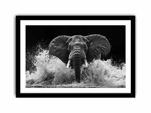 Framed Print