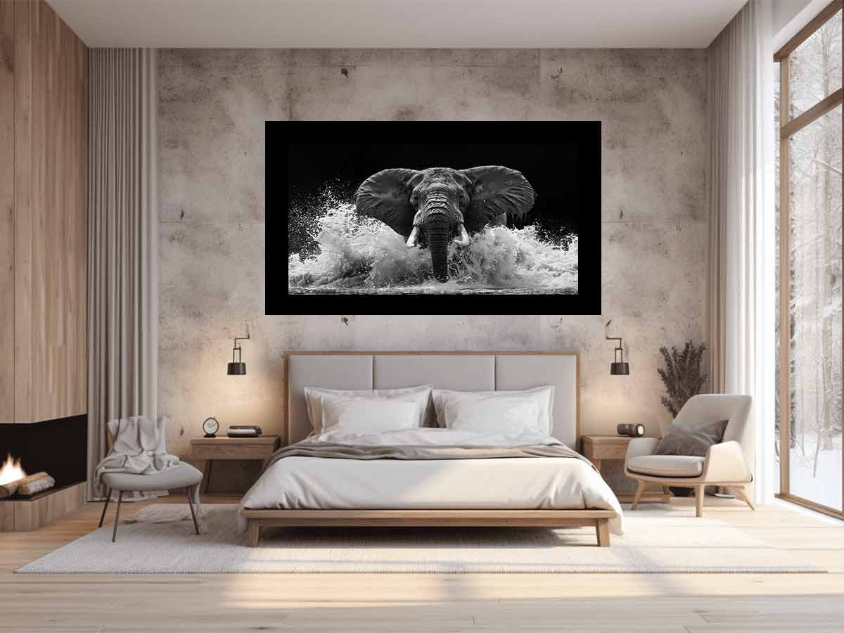 Water Elephant